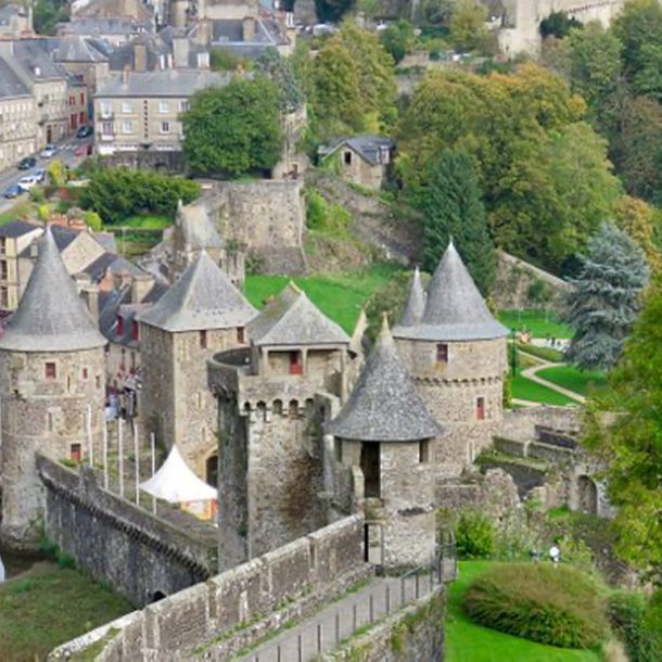 fougere