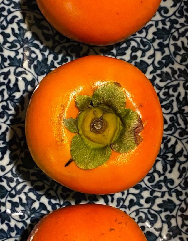 tasting persimmons in winter